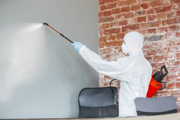 Best Residential Mold Inspection & Testing  in Deshler, OH