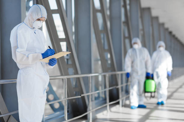 Best Water Damage & Mold Remediation  in Deshler, OH