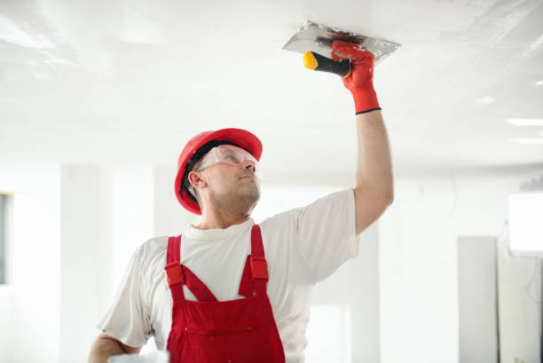 Best Environmental Consulting for Mold Prevention  in Deshler, OH