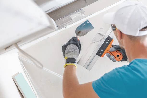 Best Mold Documentation for Insurance Claims  in Deshler, OH